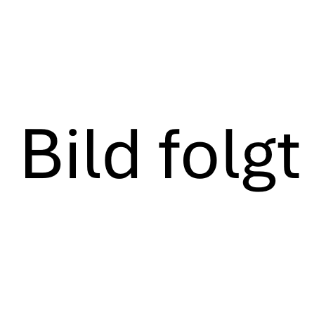 R&#252;egg Algizid Jet Super  3,0 l 